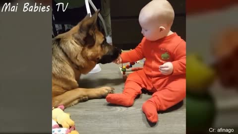 Dog and baby are best friends xd <3