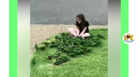 Crazy birds doing crazy and things that you will admire!!Amazing