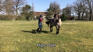 Training & Rehab Exercises for Every Horse: Hind Quarter Activation & Strengthening Exercises