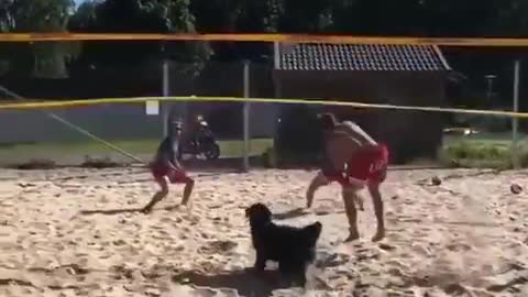 How do you see this new volleyball player?