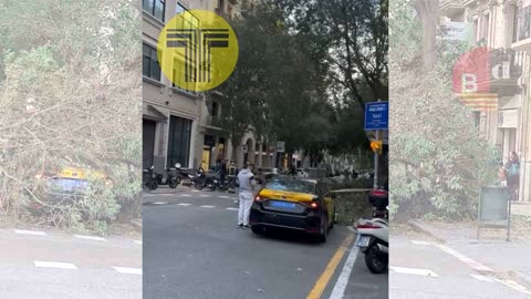 Cae un árbol sobre un taxi en Barcelona debido a los fuertes vientos