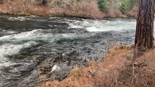 Forest-River Wonderland Area – Metolius River – Central Oregon – 4K