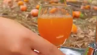 Orange juice 🥤
