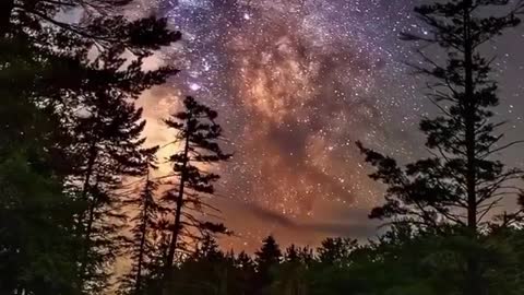 The Milky Way in the Adirondack Forest