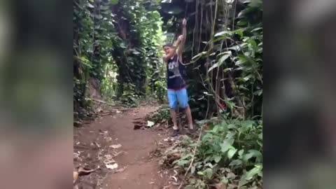 Funny Falls and slips