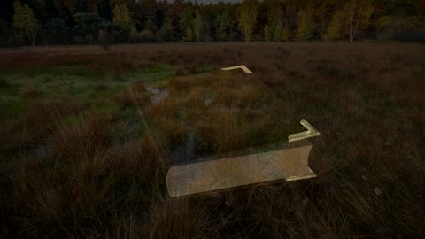 10 Mysterious Things Found In Bogs