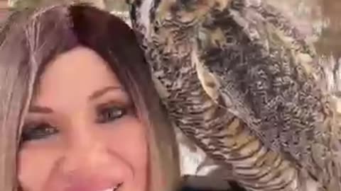 What will an owl do when it sees a squirrel