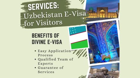 Seamless E-Visa Solutions by Divine Associates Ltd