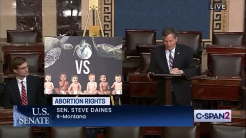 Senator DESTROYS The Left For Caring More About Sea Turtles Than Human Babies