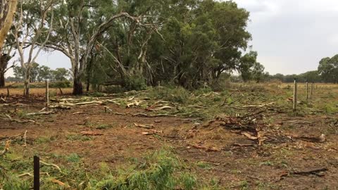 Aftermath of Mini Tornado in Strathmerton