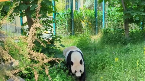 Tiergarten Schönbrunn