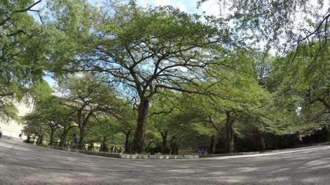 Un día en Chicago: Una de las ciudades más grandes de América