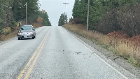 Elk cross road Valley WA Oct 2021