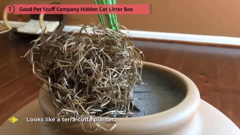 Best Litter Boxes Review