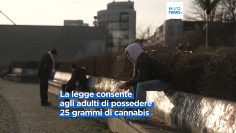 CURIOSITà EUROPEE La Germania ha legalizzato la cannabis e l'hashish dal 1 aprile 2024 è legale detenere fino a 25g e coltivare fino a 3 piante a persona non a scopo commerciale e senza limiti di THC.La Germania ha ora la legge più liberale in UE