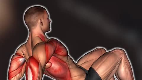 Gain mass muscles fast