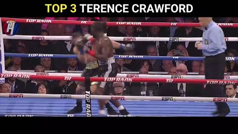 Top 10 Best Pound For Pound Fighters In Boxing