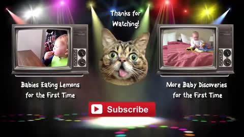 Videos For Kids | TRIPLE TROUBLE - SUNNY BUNNIES | Cute Cartoons | Funny Videos For Kids