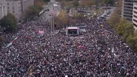 THE LARGEST PALESTINIAN PROTEST IN THE HISTORY OF USA