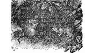 RIKKI-TIKKI-TAVI - classic short story from Rudyard Kipling's THE JUNGLE BOOK - classic-tales.net