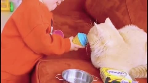 Animal funny video 🤣 Cute baby and cat funny video😘🤣""