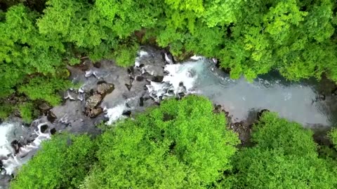 A Bosnian dam pits green energy vs. preservation