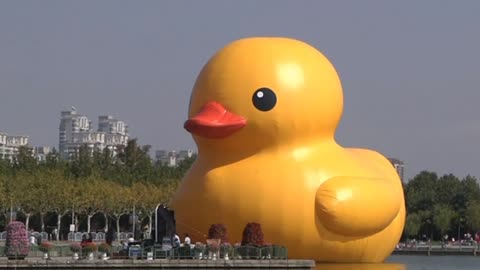 Giant rubber duck on show in Shanghai