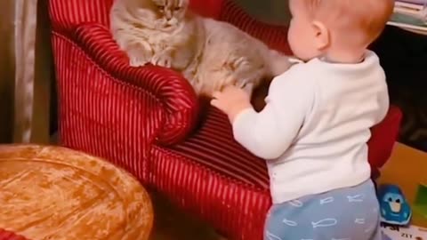 Cute babies vs cute cat Very funny video 🥺😁🤣