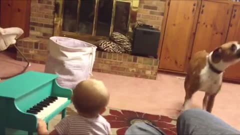 Funny Dog And Baby Have Musical Duet