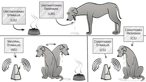 Classical Conditioning by Pavlov