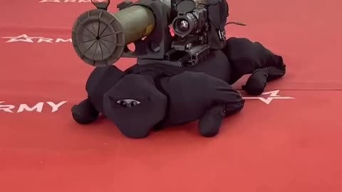 A robot dog (the M-81 robotic complex) with a grenade launcher was presented at Expo