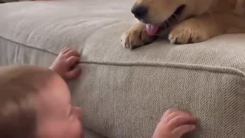 Baby Kisses Puppy!