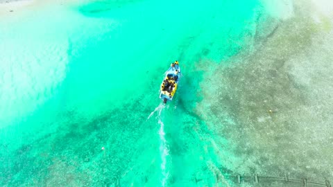 Captivating Shades of Green Water