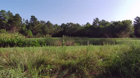 lake Livingston state park First solo hike