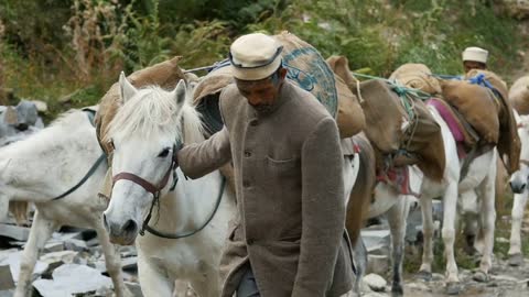 Himalayan stepherds lead horses caravan with goods in the mountains
