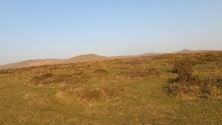 Brat tor Dartmoor