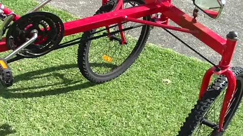 Tadpole recumbent trike