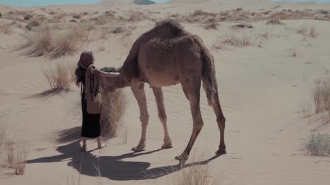 Dakhla in Moroccan sahara so beautiful