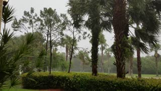 Tense Hurricane Irma Footage From Jupiter, Florida