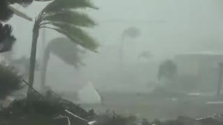 Hurricane Ian | Extreme debris filleds wind florida