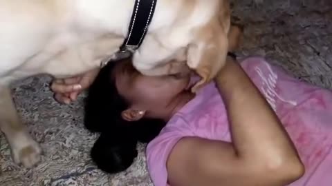 Dog love 😍
