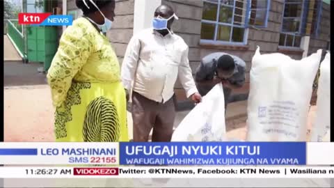 Ufugaji nyuki Kitui- Wafugaji wahimizwa kujiunga na vyama