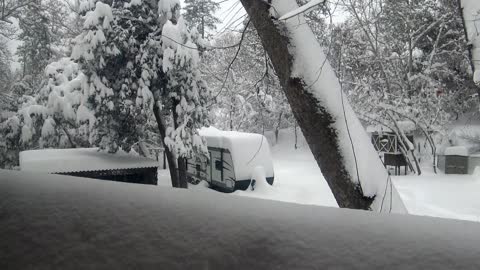 Jan 2021 Snow, Pine, AZ