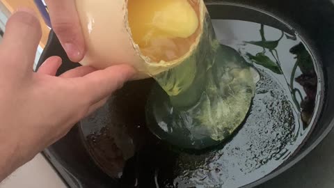 Ostrich Egg in A Pan