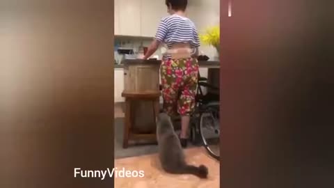 Funny Animals Videos | Funny Girl Video 2021 | Funny girl Fails | funny zoo Animals