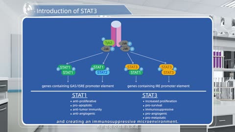 Introduction of STAT3