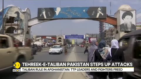 Pakistan: Tehreek-E-Taliban Pakistan steps up attacks | Latest World News | WION