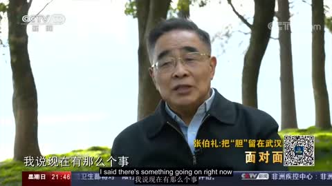 CCTV interview with Zhang Boli, how to get rid of coronavirus