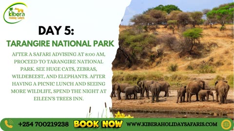 Enjoy 7-Day Luxury Kenya and Tanzania Safari