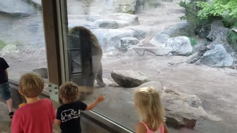Kids At The ZOO Learn A Very Important Lesson About Bear Toilet Habits